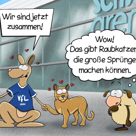 Vor der Schwalbe-Arena hält VfL-Maskottchen Gummi, das Känguru, verliebt Händchen mit einem Puma. Daneben steht ein Schaf und denkt: „Das gibt Raubkatzen, die große Sprünge machen können.“