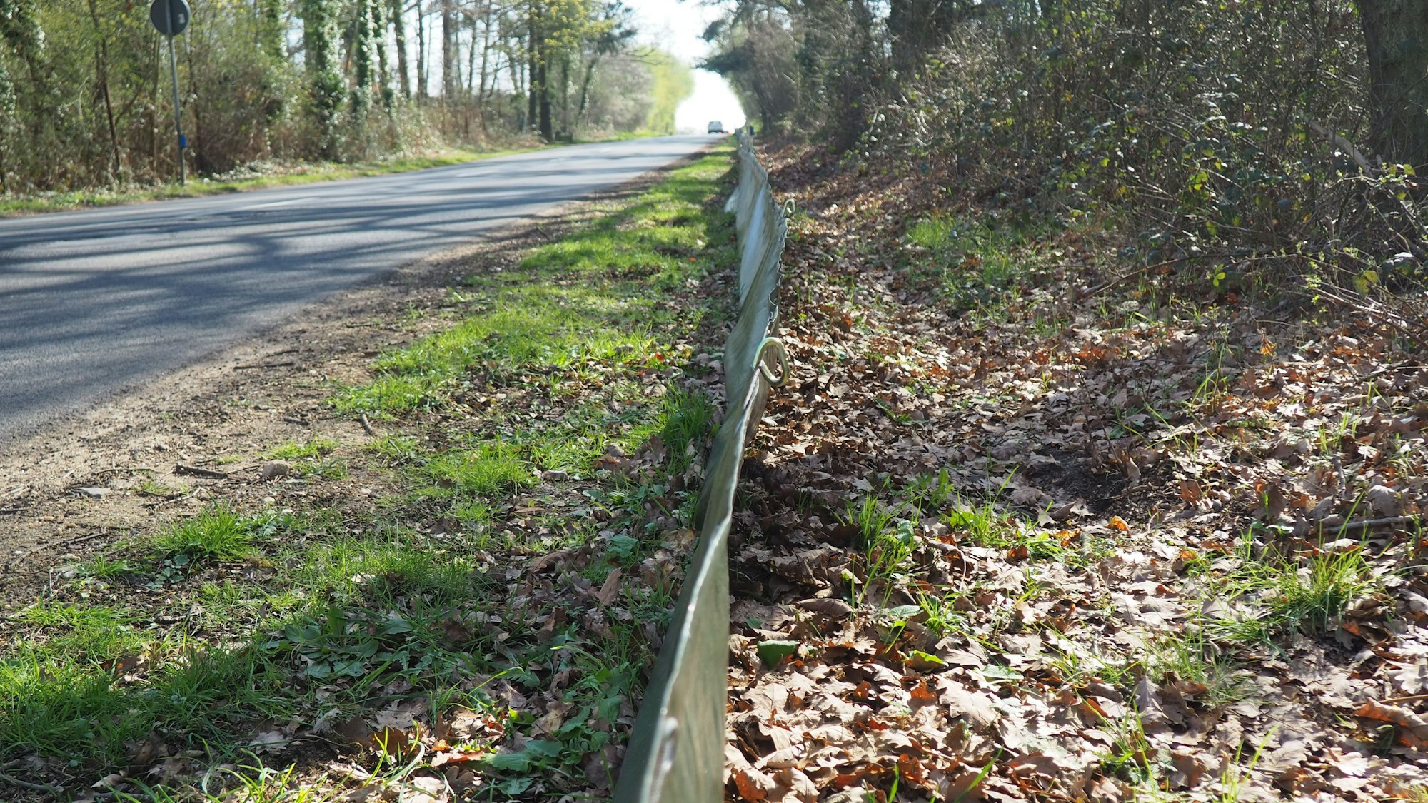 Der Zaun an der Landstraße zwischen Firmenich und Satzvey soll verhindern, dass Kröten oder Molche auf dem Weg zu ihren Laichgewässern überfahren werden.