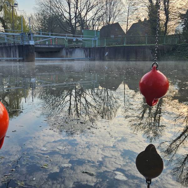 Die Erft in Bedburg: Im Hintergrund ein Wehr, im Vordergrund Rettungsbojen.