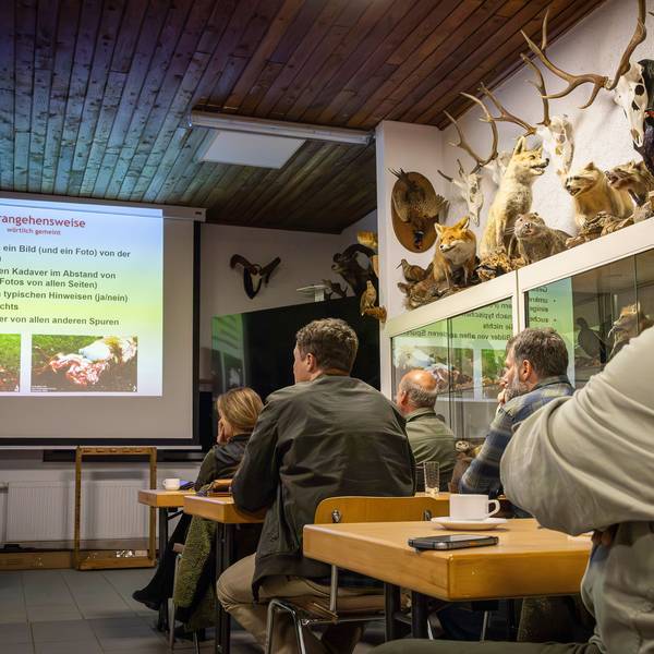 In der Schulung sind auf einer Leinwand typische Wolfsrisse zu sehen. Die Jäger schauen konzentriert hin. Ein Regal an der Wand ist mit Geweihen und ausgestopften Wildtieren dekoriert.