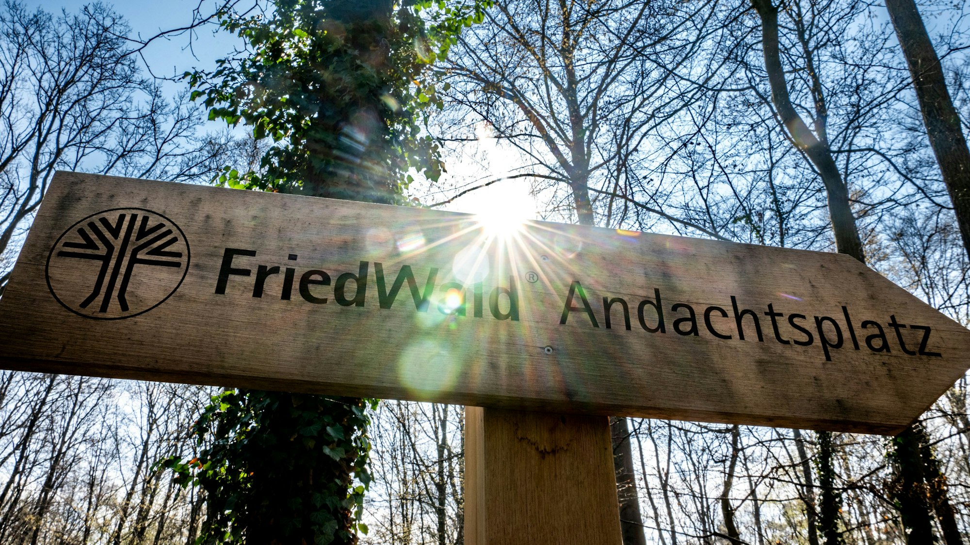 Das Bild zeigt ein Holzschild, das auf den Andachtsplatz im Friedwald hinweist.