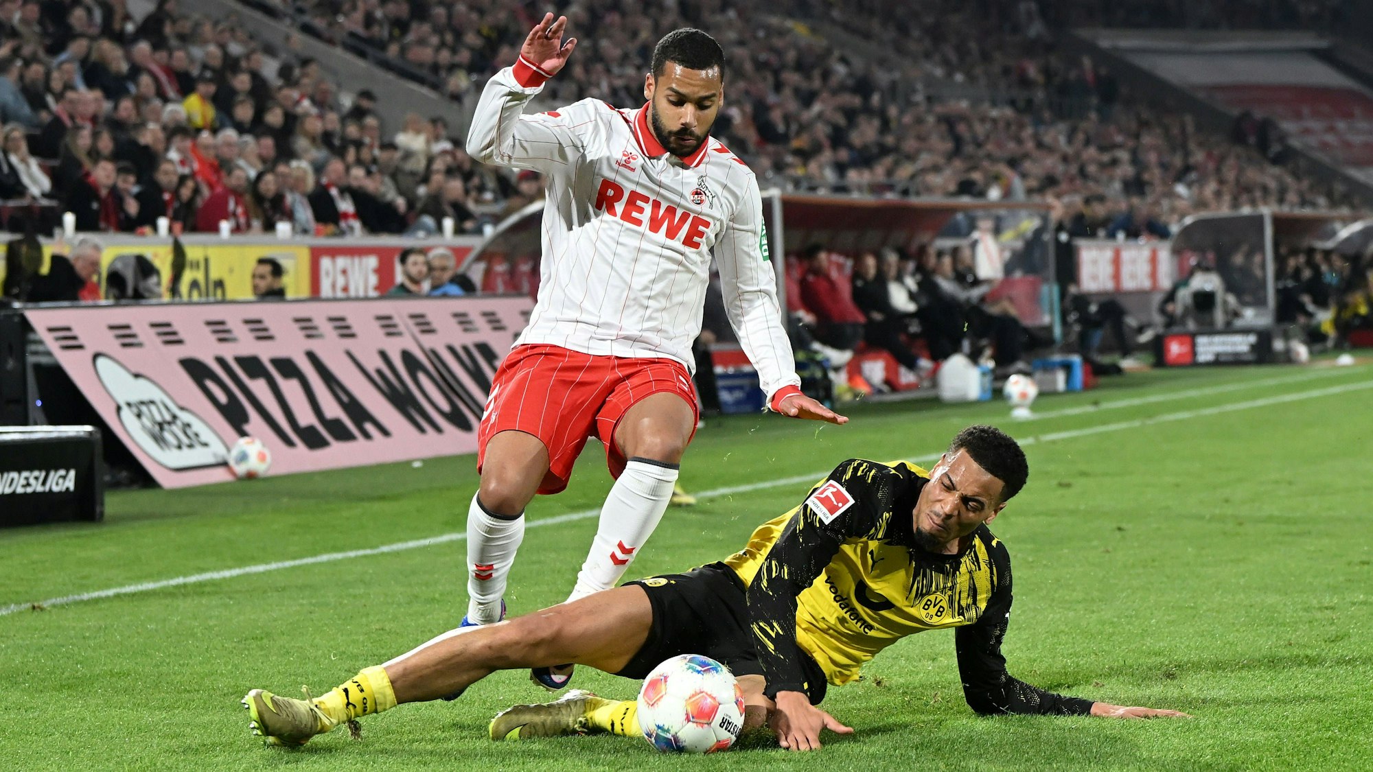 Linton Maina (l.) steht vor seiner Rückkehr in die Startelf des 1. FC Köln.