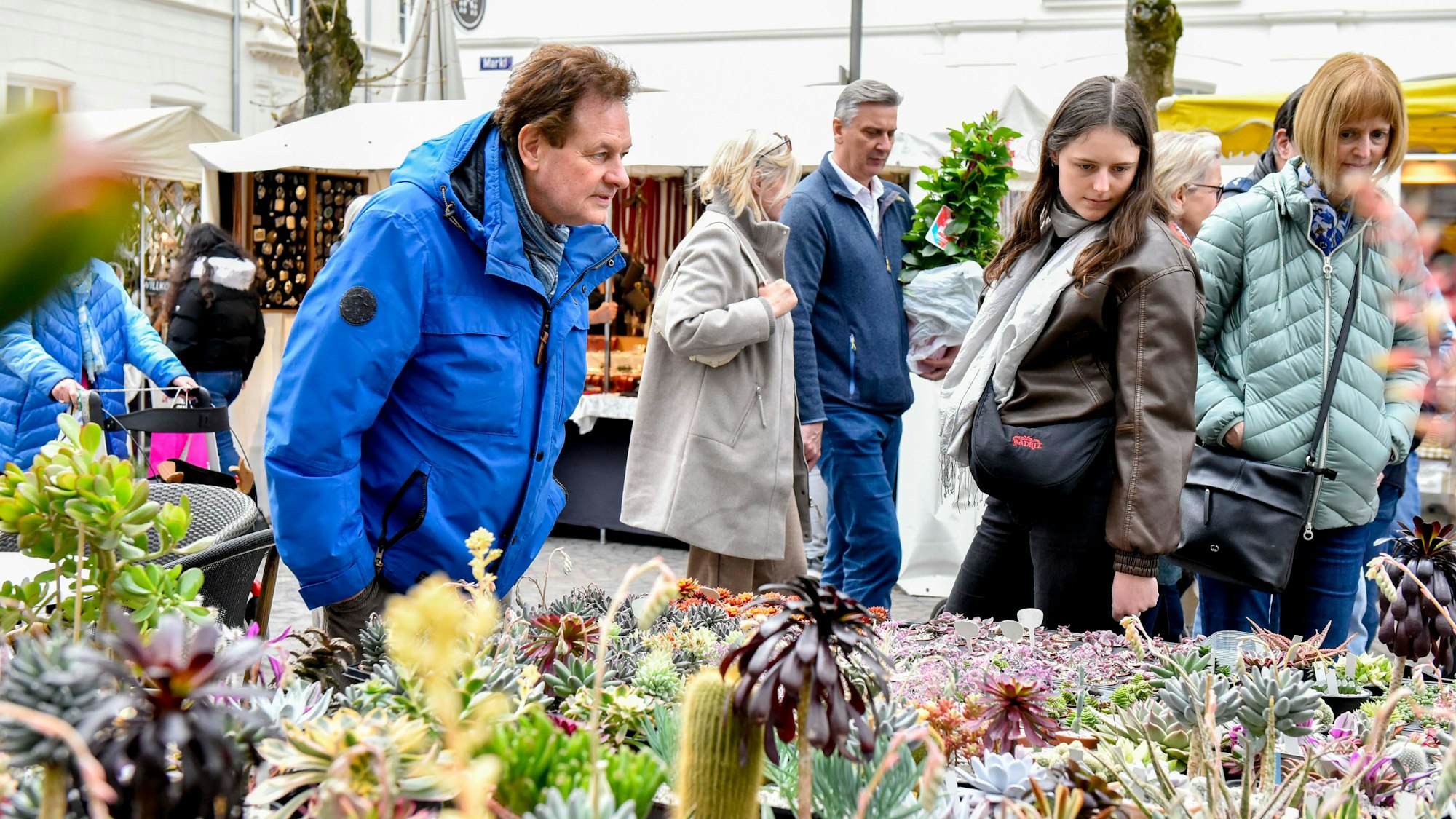 Das Bild zeigt den Sukkulentenstand mit vielen Pflanzen.