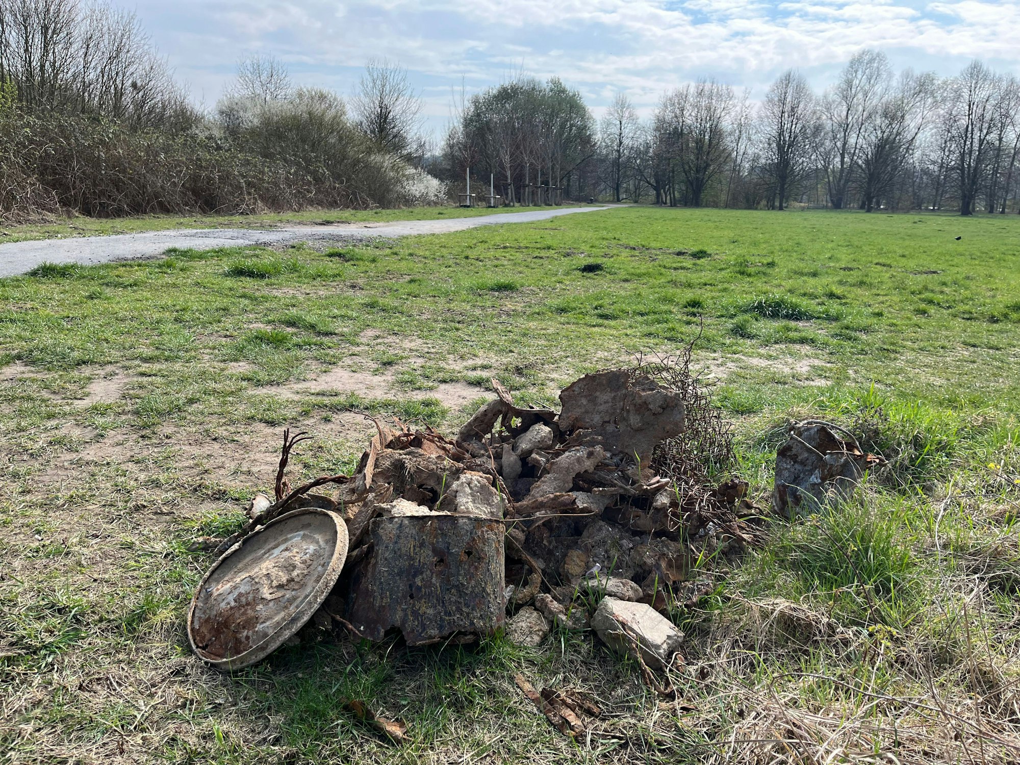 Baum und Metallreste liegen auf einem Haufen auf einer Wiese.