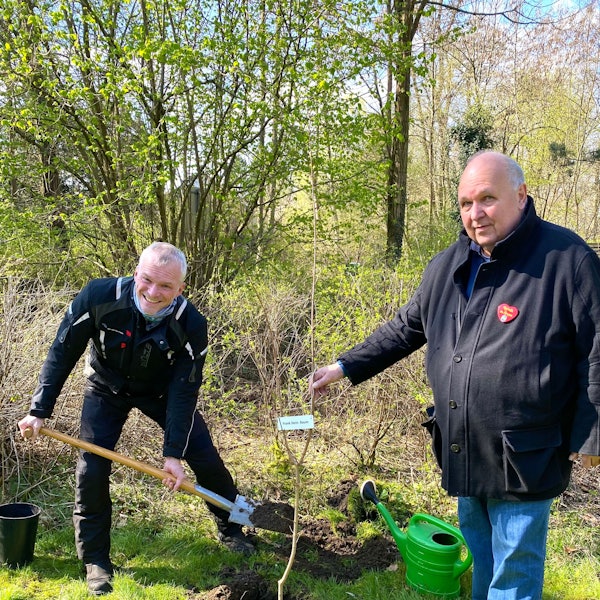 Ein Mann hebt mit dem Spaten Erde für ein junges Bäumchen aus.