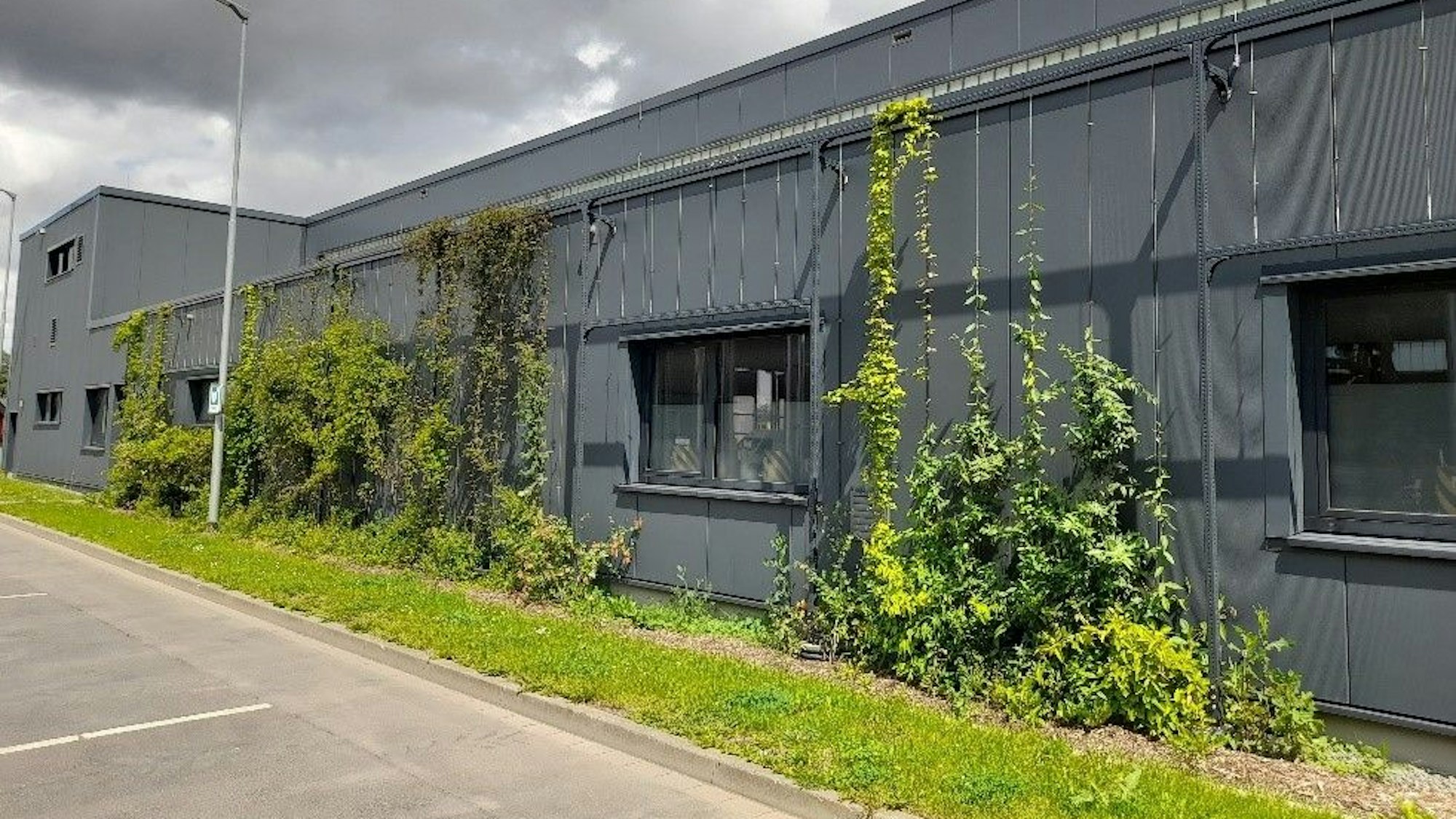 An der Fassade des AWZ befinden sich Pflanzen.