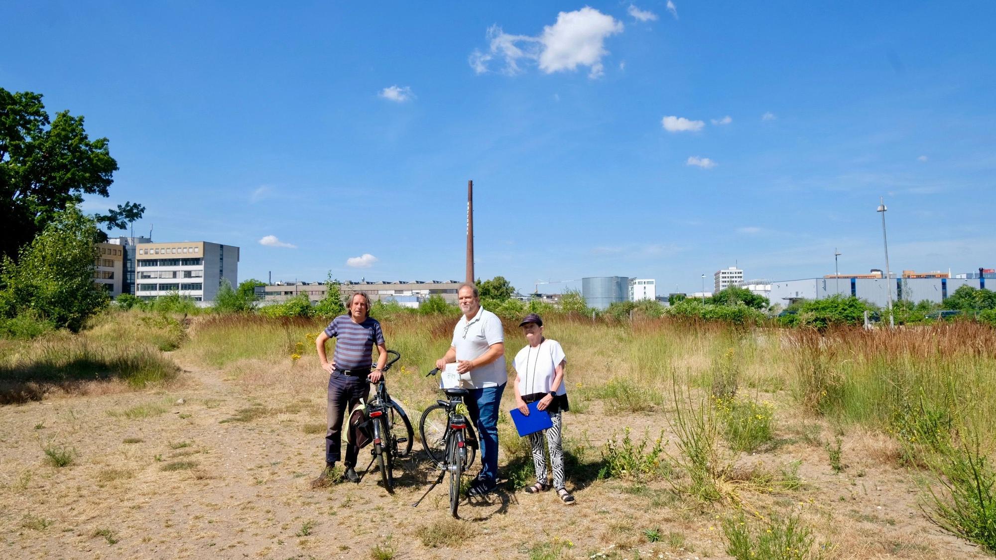 Bezirksbürgermeister Roland Schüler, Harald Schäfer und Ilsetraut Popke (v. l.) vom Rahmenplanungsbeirat Braunsfeld/Müngersdorf/Ehrenfeld auf der Brache am Gleisdreieck, wo der Hybridpark entstehen soll.
