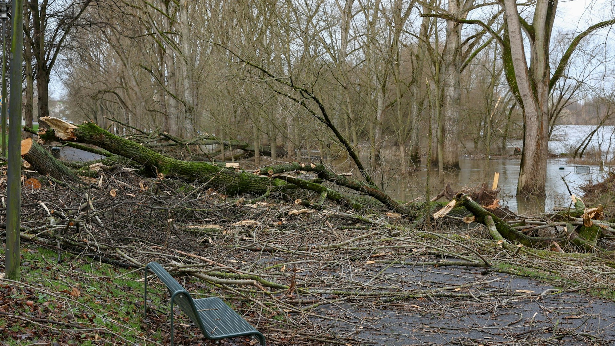 Der Deutsche Wetterdienst warnt vor einem Sturm am Mittwoch.