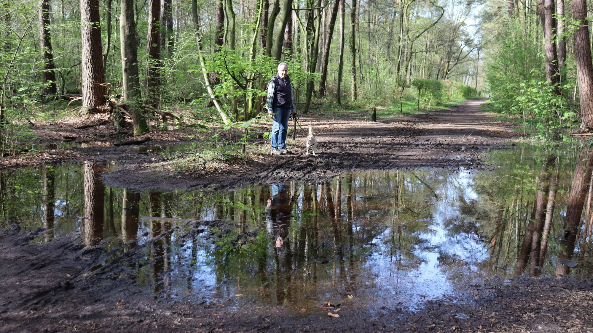 Horst Brochhagen setzt sich seit Jahren für eine Sanierung des Waldwegs ein. (Archivbild)