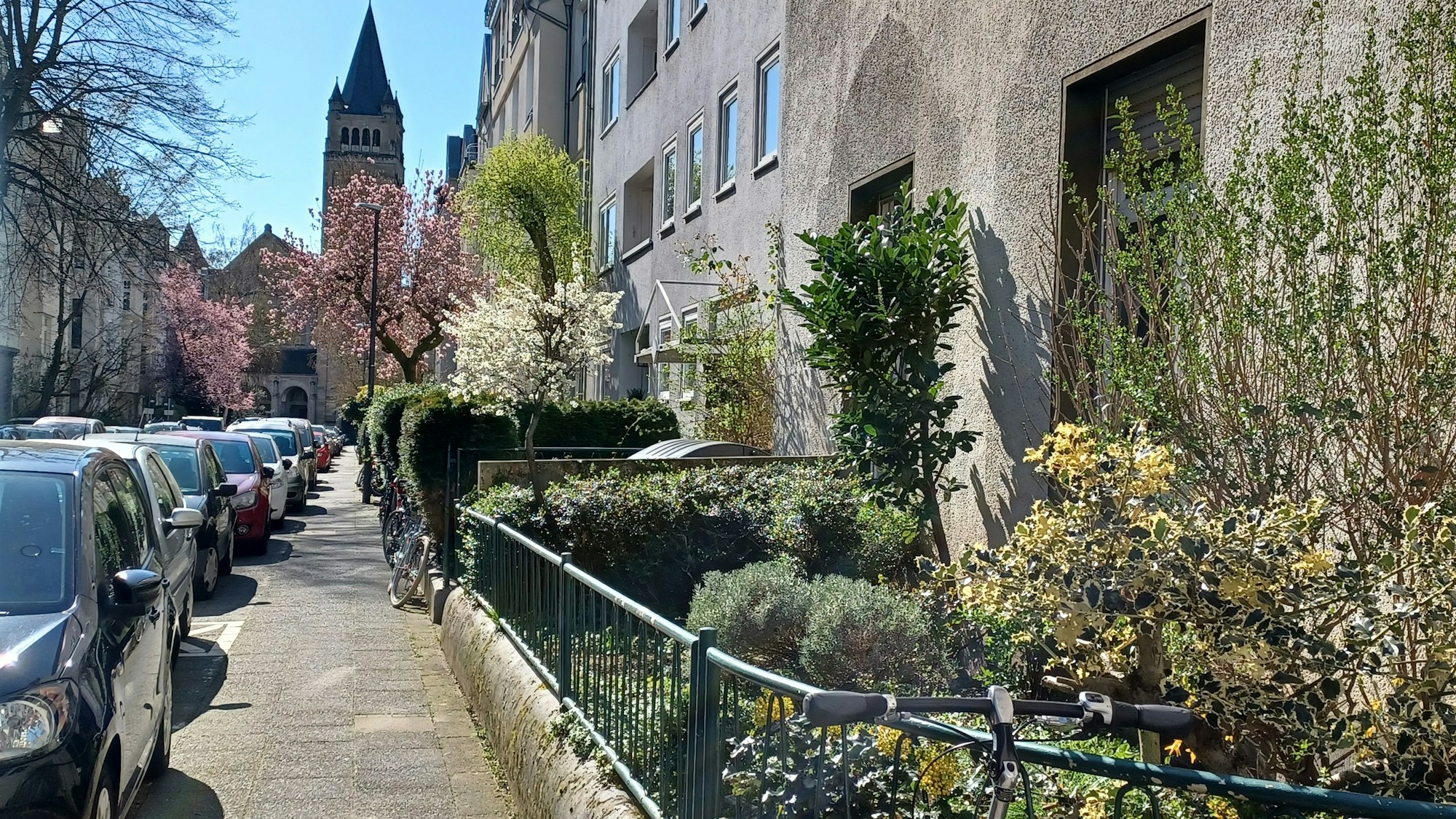 Zu sehen sind bepflanzte Vorgärten im Nippeser Osten, hier an der Schwerinstraße (im Hintergrund die Kirche St. Bonifatius).