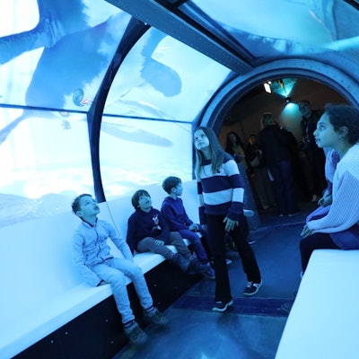 Kinder in einem Glastunnel, auf und über den Bilder von Dinosauriern projiziert werden.