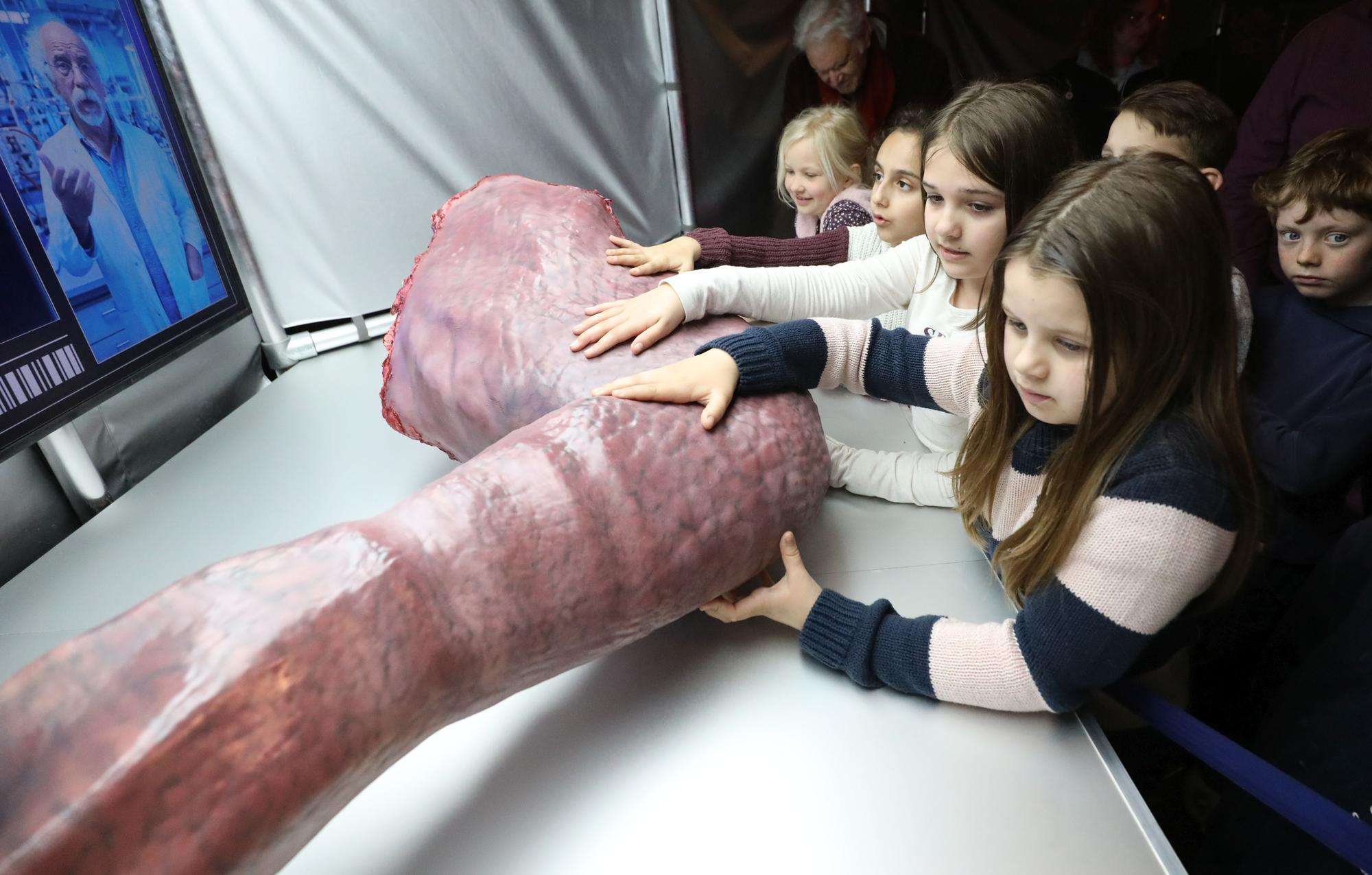 Kinder mit der Nachbildung eines Dinosaurierarms.