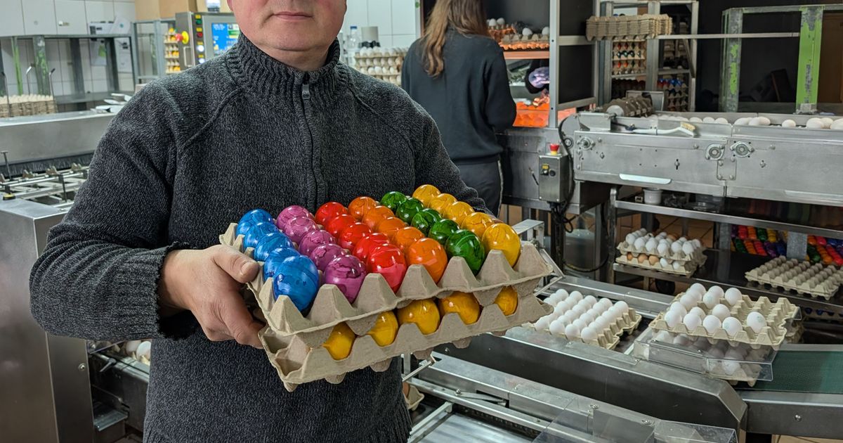Before Easter: Colorful eggs are in high demand at a farm in Hürth