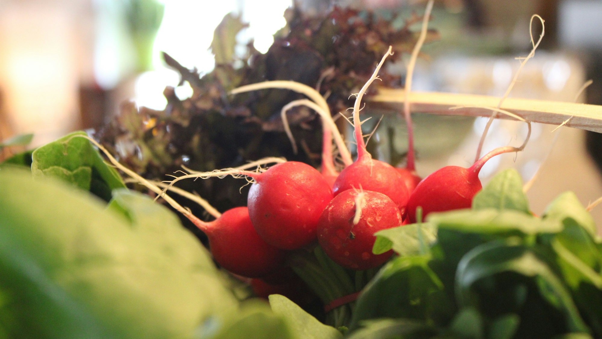 Das Haus am Berg in Neunkirchen-Seelscheid setzt auf regionale Zusammenarbeit.