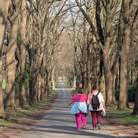 Zwei Menschen gehen eine Allee entlang.