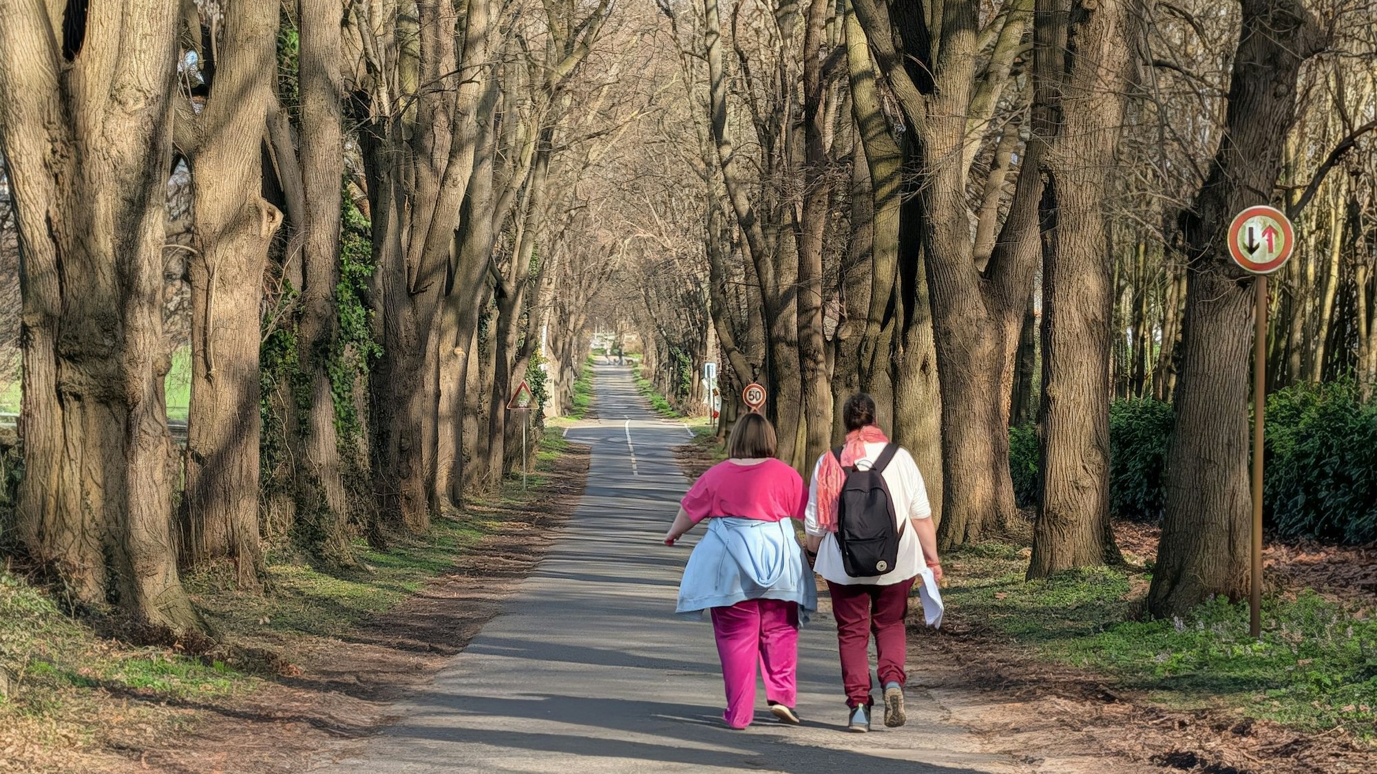 Zwei Menschen gehen eine Allee entlang.