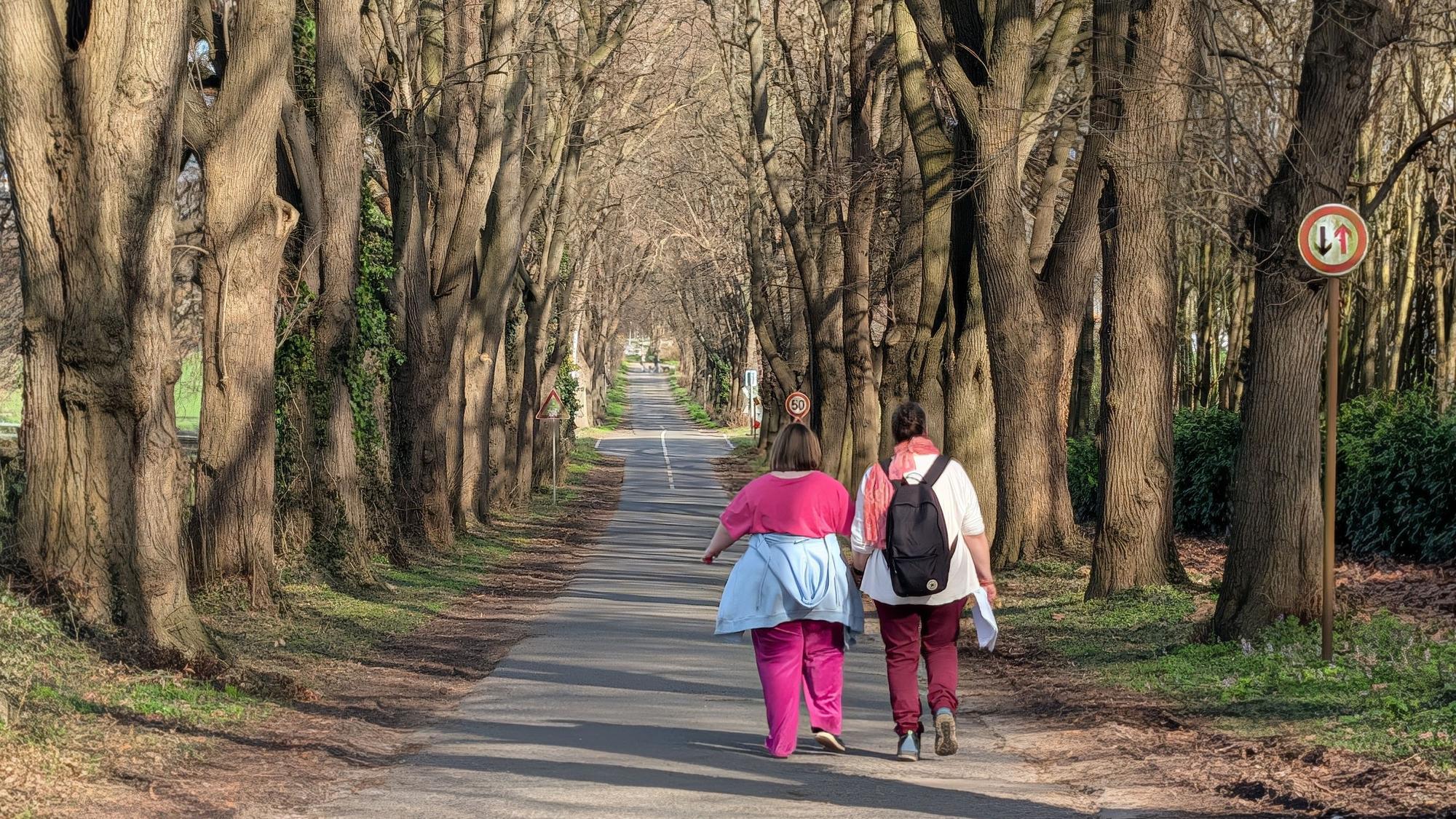 Das Bild zeigt die Allee Vochemer Straße.