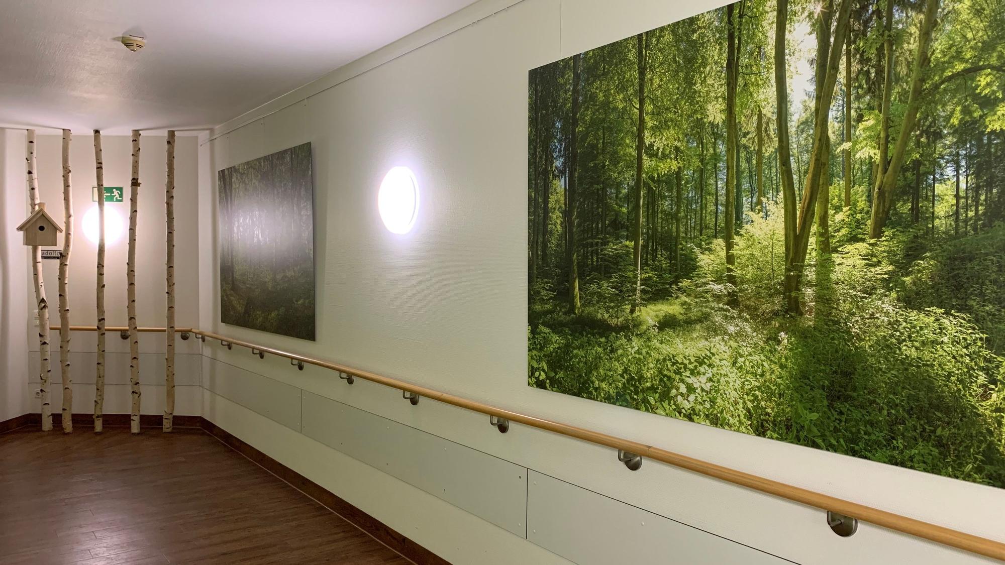 Auf den Fluren der Chemoambulanz hängen Fotos aus Wäldern an der Wand, die das Wohlbefinden steigern sollen.