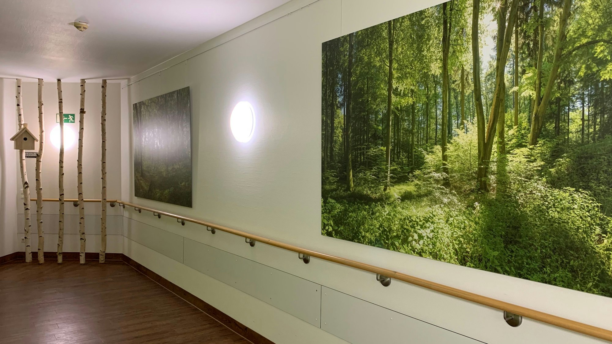 Auf den Fluren der Chemoambulanz hängen Fotos aus Wäldern an der Wand, die das Wohlbefinden steigern sollen.
