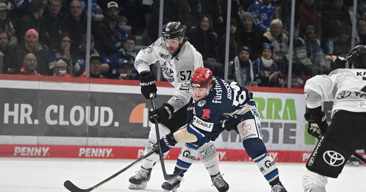 Eishockey-Playoffs: Kölner Haie stehen vor dem Einzug ins Halbfinale