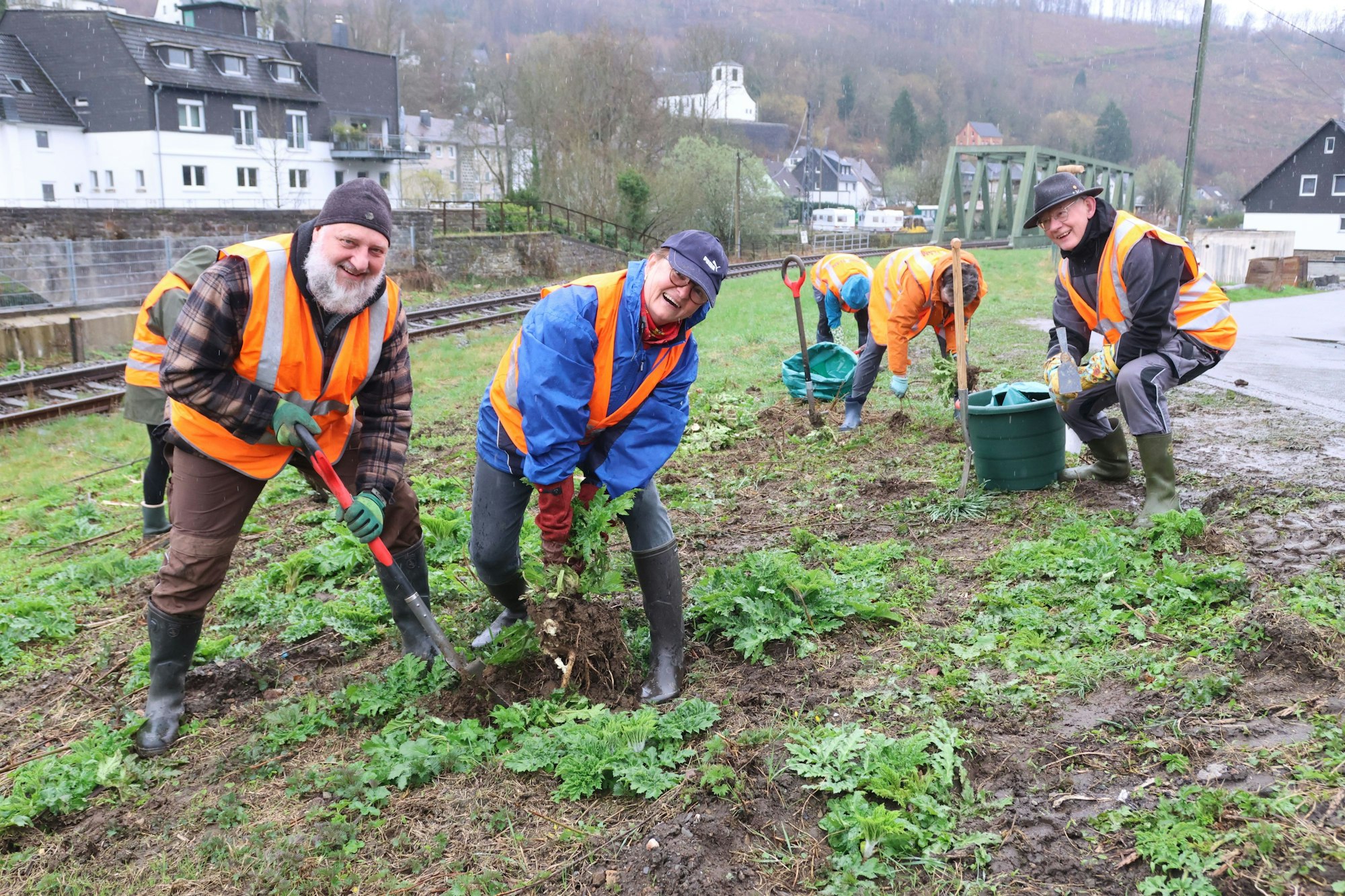 Im Kampf gegen die gefährliche Pflanze: Petra Voll und Hans-Jürgen Keck graben eine Herkulesstaude aus.