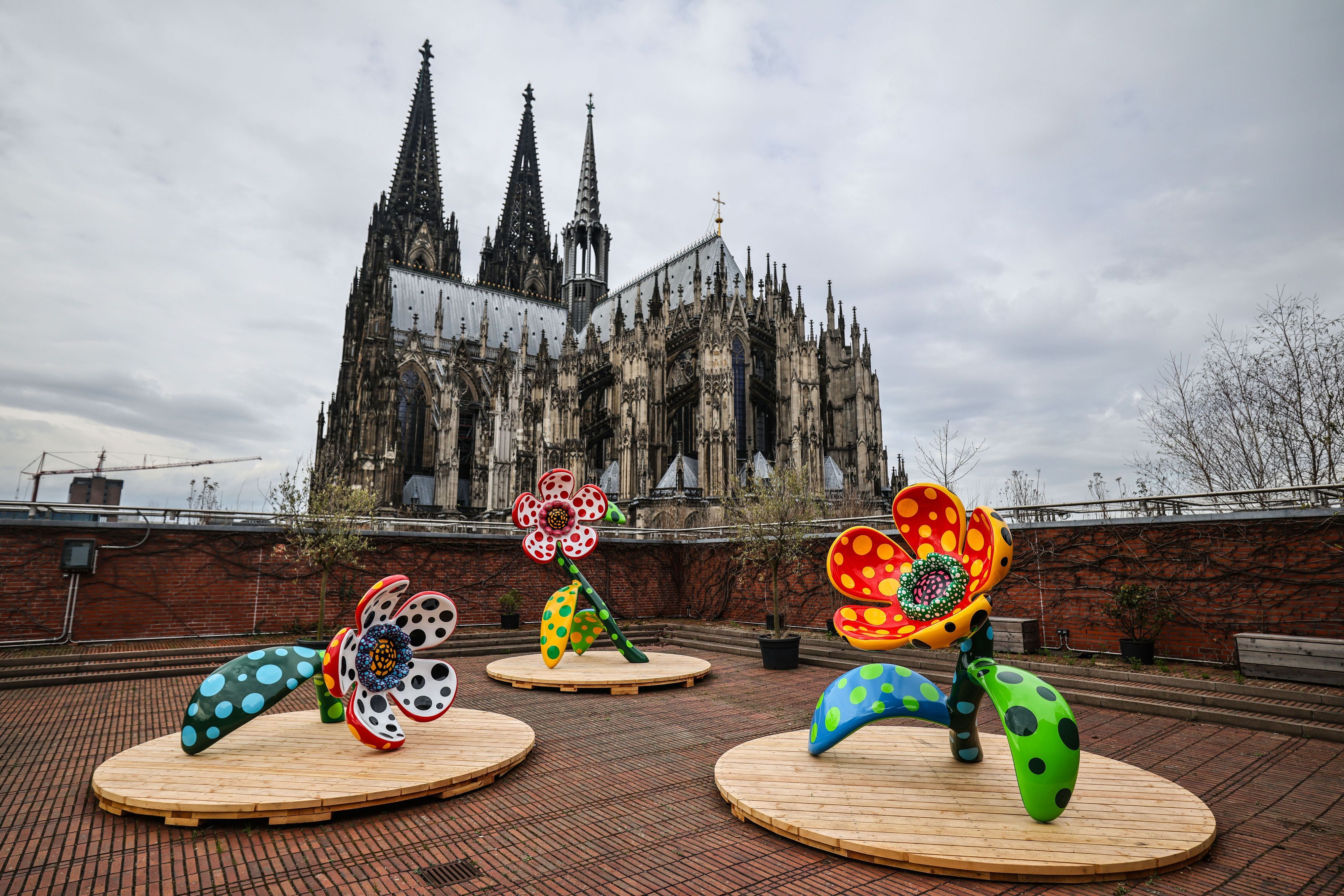 Die Installation „I Spend Each Day Embracing Flowers“ von Yayoi Kusama steht auf der Dachterrasse des Museum Ludwig vor dem Dom.