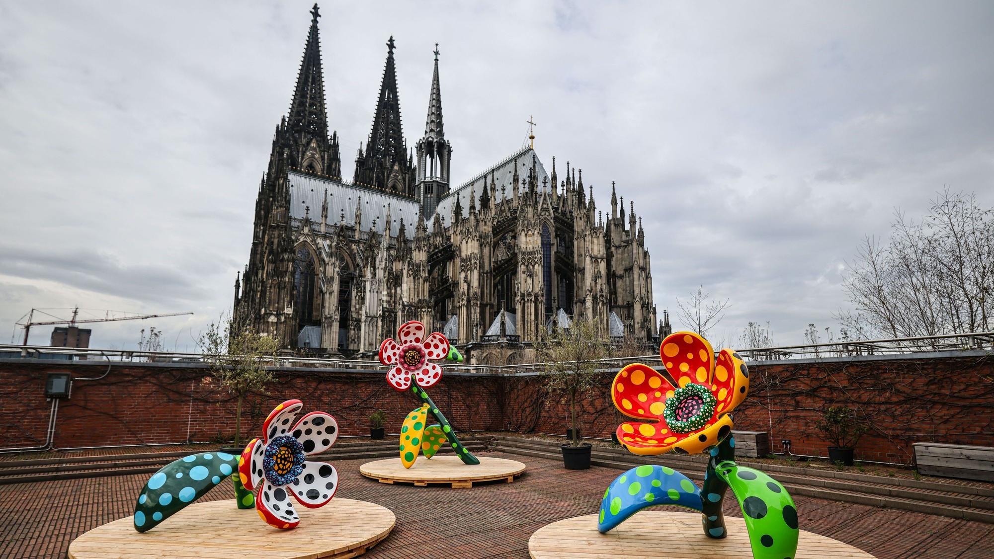 Die Installation „I Spend Each Day Embracing Flowers“ von Yayoi Kusama steht auf der Dachterrasse des Museum Ludwig vor dem Dom.