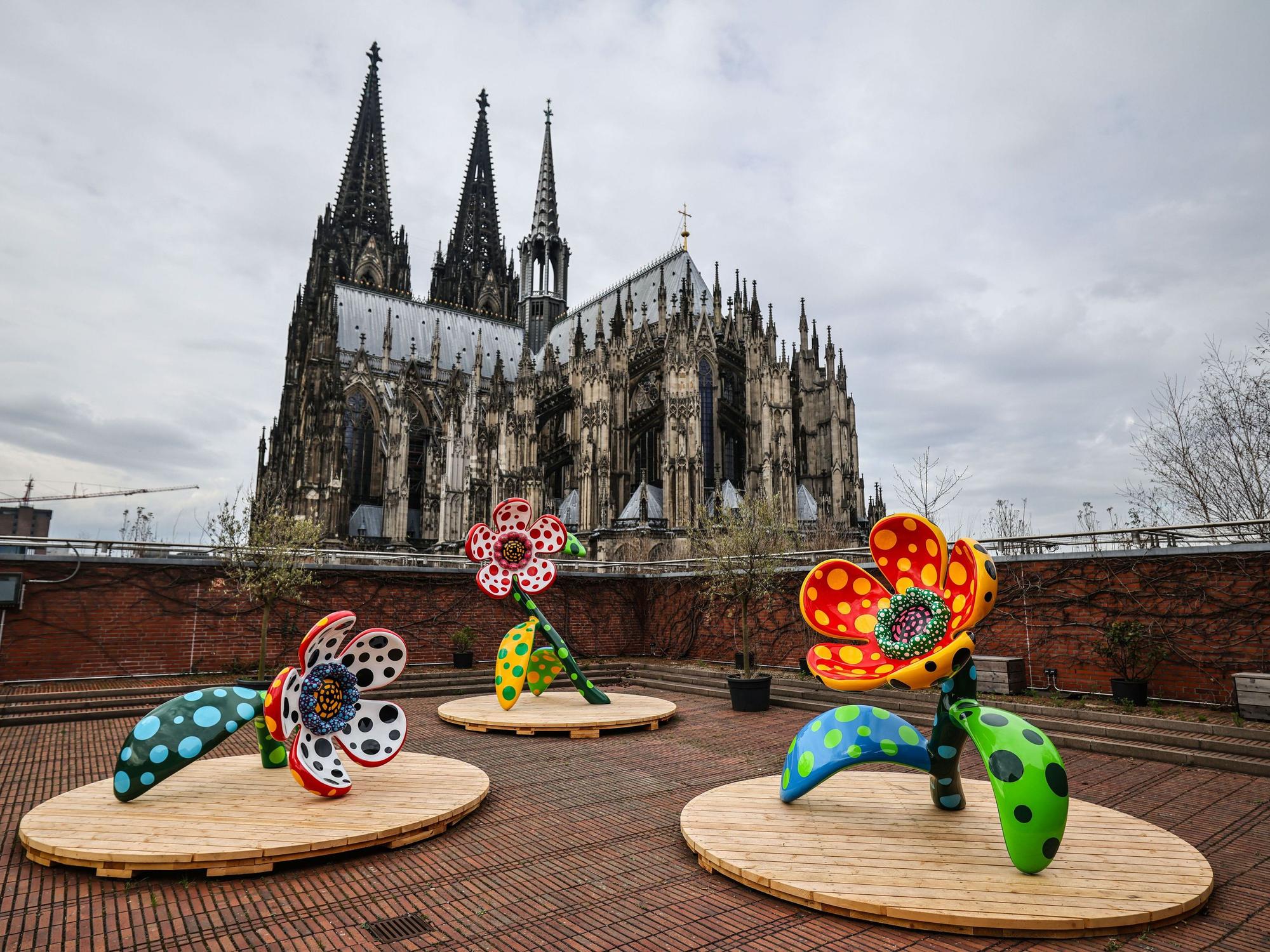 Die Installation „I Spend Each Day Embracing Flowers“ von Yayoi Kusama steht auf der Dachterrasse des Museum Ludwig vor dem Dom.