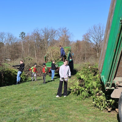Die Jugendfeuerwehr in Heischeid hat bereits damit begonnen, Holz für das traditionelle Osterfeuer im Reichshofer Ortsteil zu sammeln.
