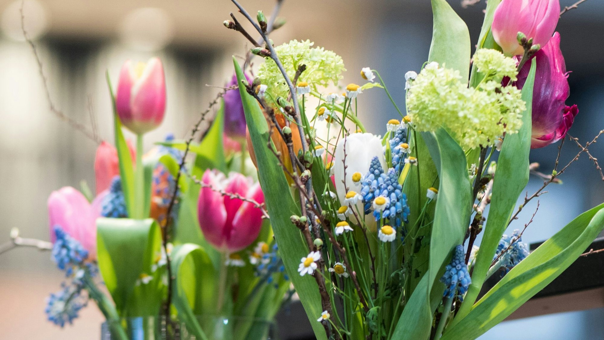 Ein bunter Frühlingsstrauß bringt frische Farben ins Zuhause und sorgt für Osterstimmung.