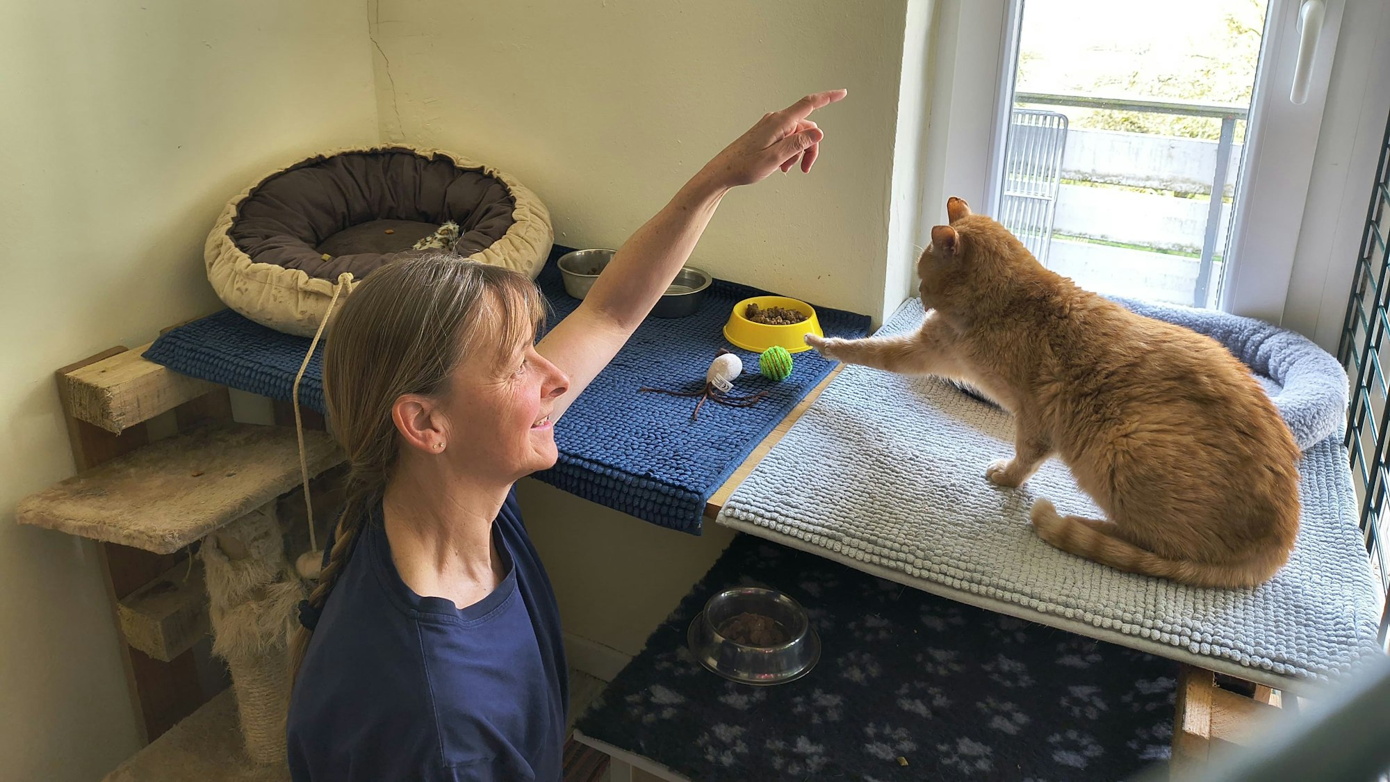 Sabine Lindner kann sich Foxi nach seiner Rückkehr nur behutsam nähern, schon vorher war er scheu.