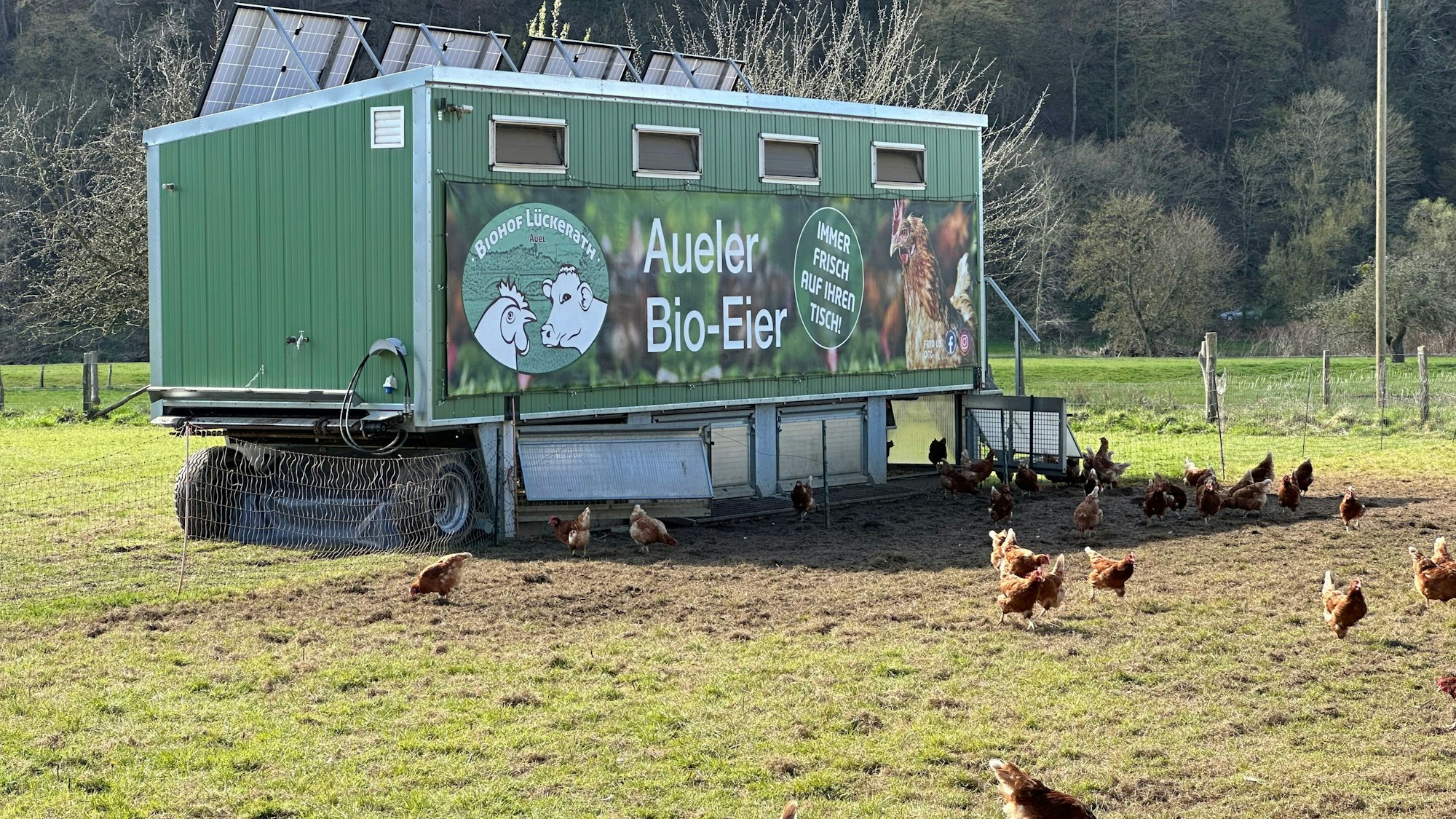 Ein fahrender Hühnerwagen des Eierhofes Lückerath.