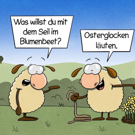 Zwei Schafe stehen auf einer Wiese. Das eine steht vor einem Feld mit Osterglocken und hält ein Seil in der Hand. Das andere fragt: „Was willst du mit dem Seil im Blumenbeet?“ Das andere antwortet: „Osterglocken läuten.“