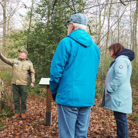 Frank Hallmanns zeigt auf ein gelbes Band an einem Baum. Ein Mann und eine Frau, von hinten zu sehen, schauen in seine Richtung.