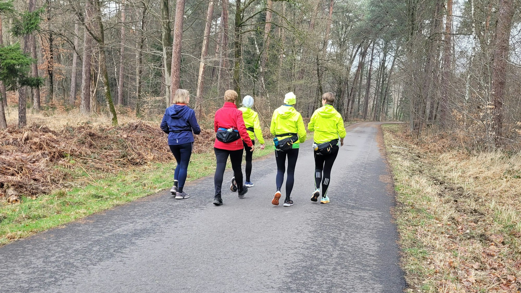 Läuferinnen laufen durch den Wald.