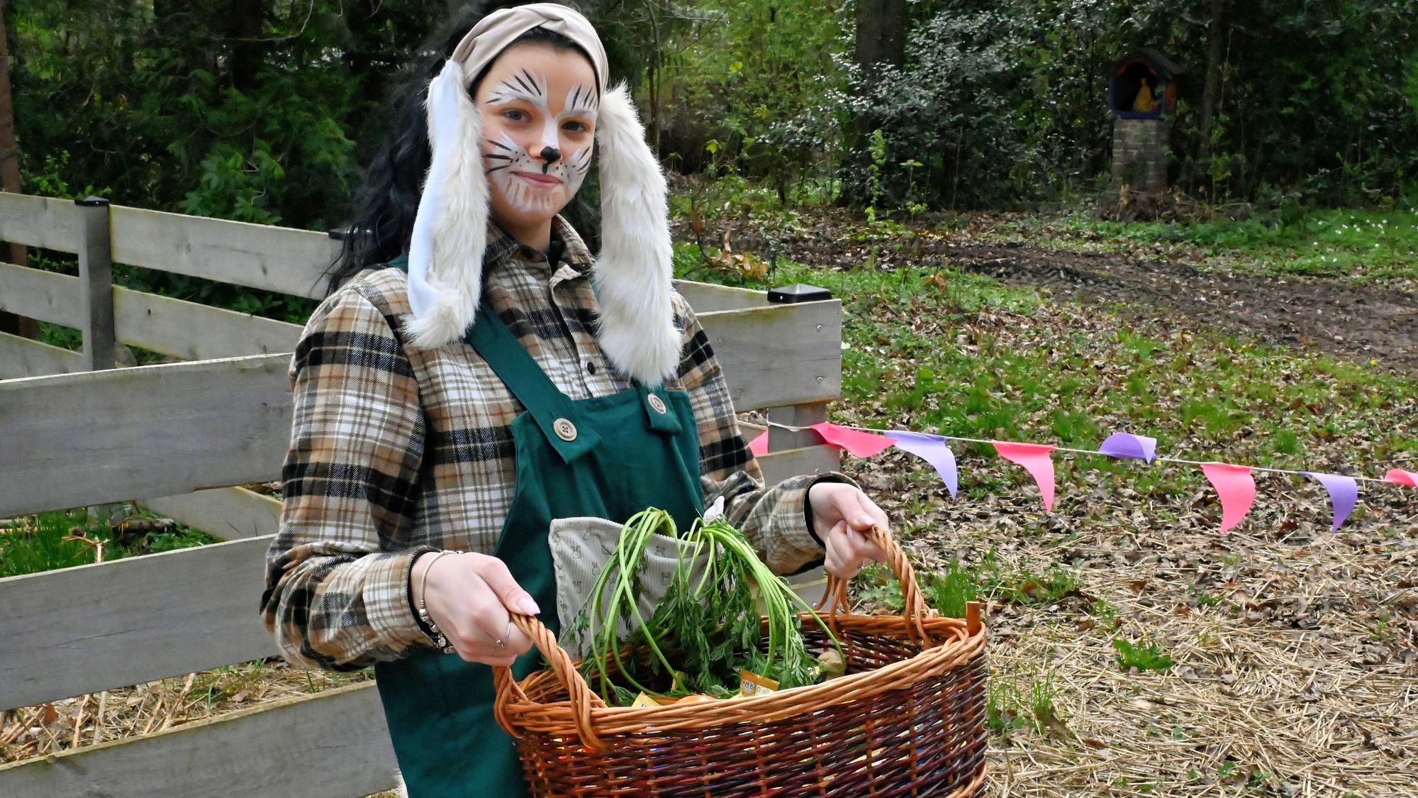 Eine junge, als Osterhase kostümierte Mitarbeiterin, schleppt in einem Weidenkorb weiteres Naschwerk heran.