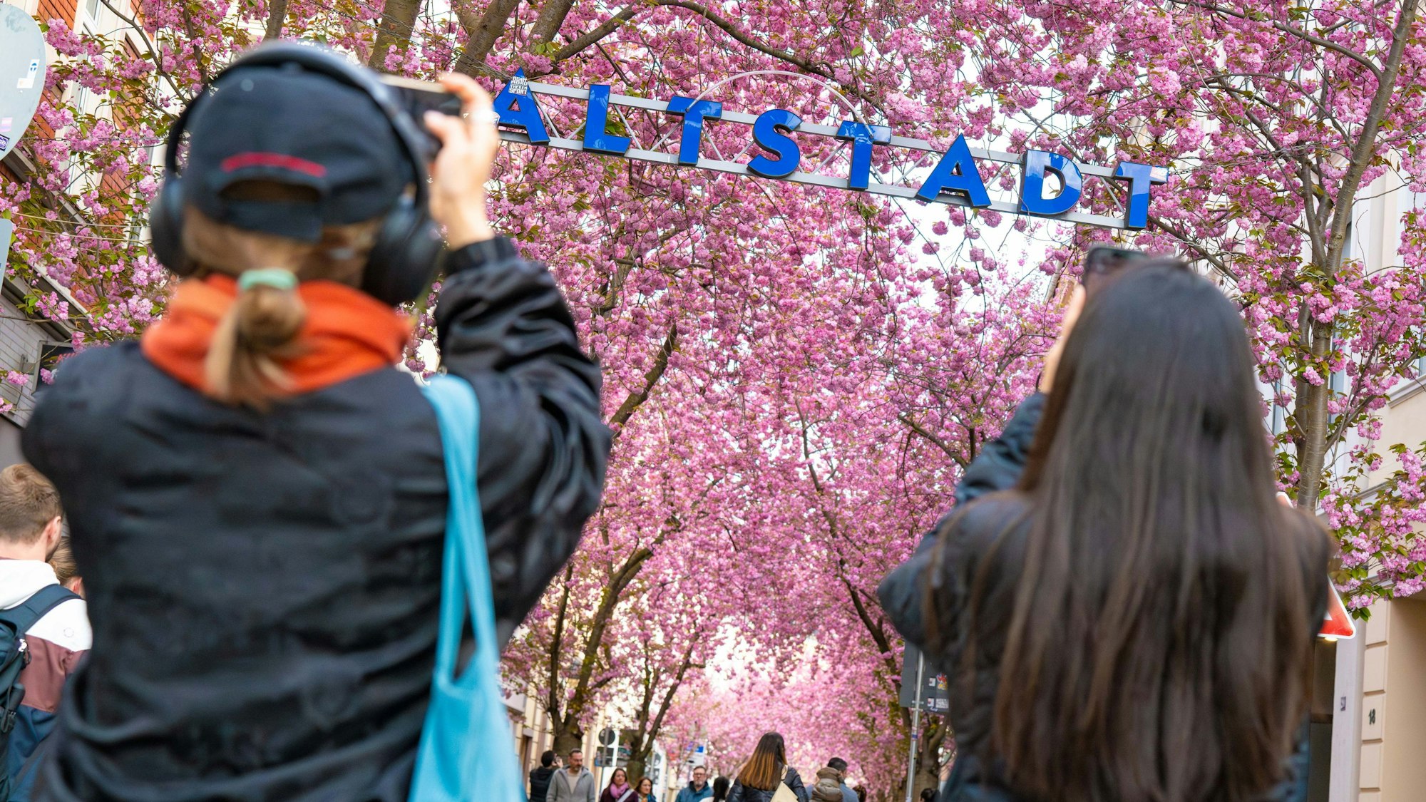 Besucherinnen fotografieren am Ostermontag die Kirschblüte in der Bonner Altstadt.