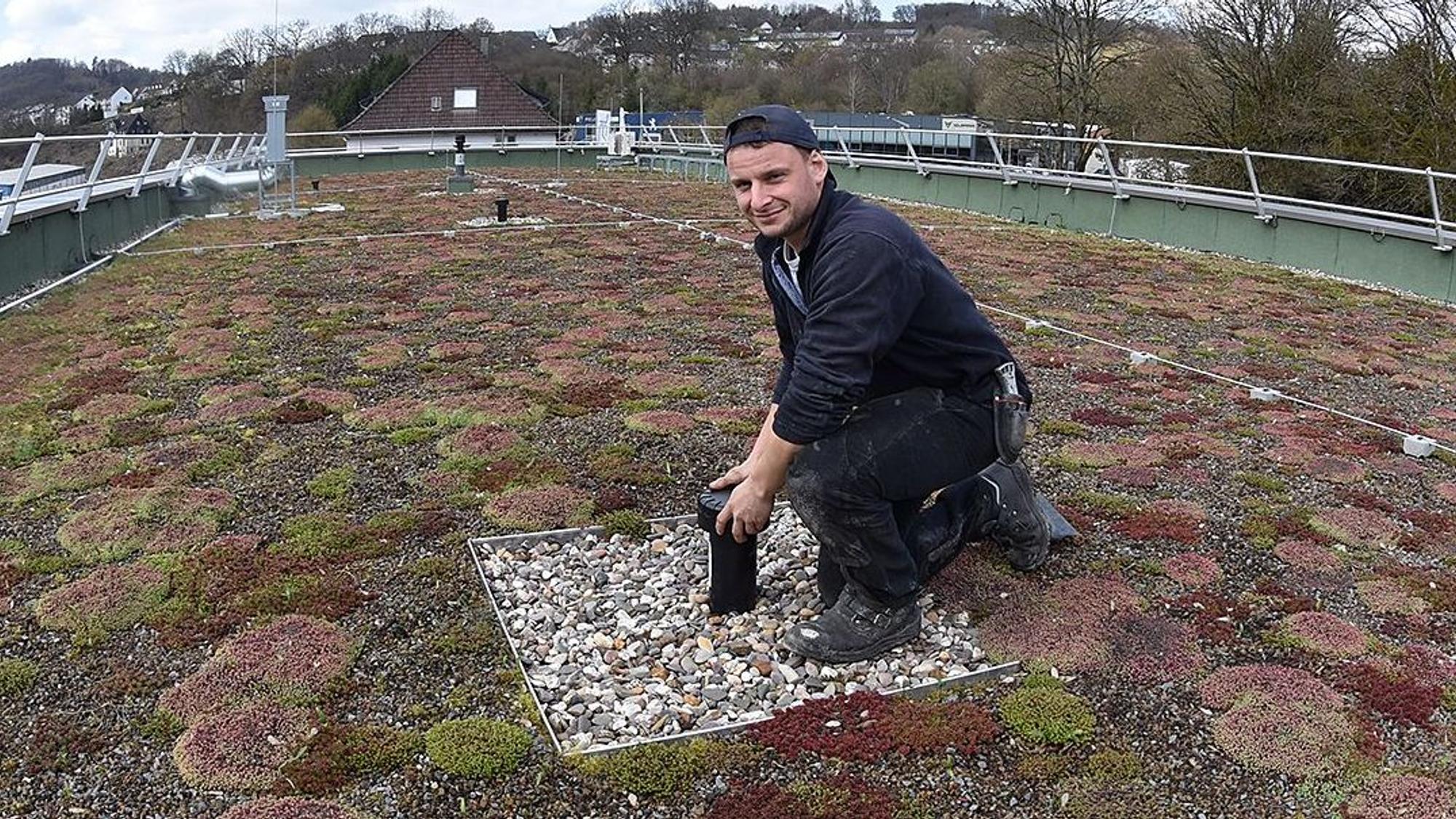 Noah Hemmersbach aus Waldbröl wartet das Gründach des Straßenverkehrsamts, das er selbst mitgebaut hat. Auch das gehört zu den Aufgaben des Dachdeckers.