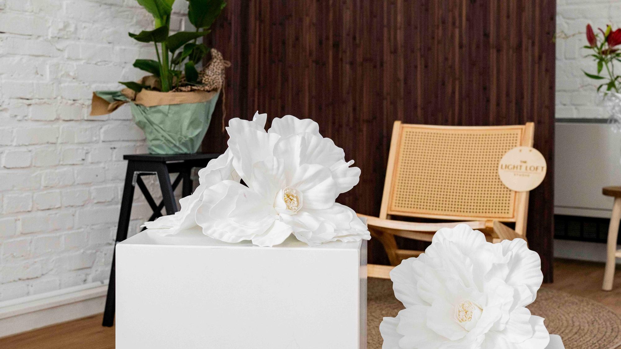 Große Papierblumen, Grünpflanzen, Holzkisten und Designerstühle kommen bei den Foto-Sessions zum Einsatz.