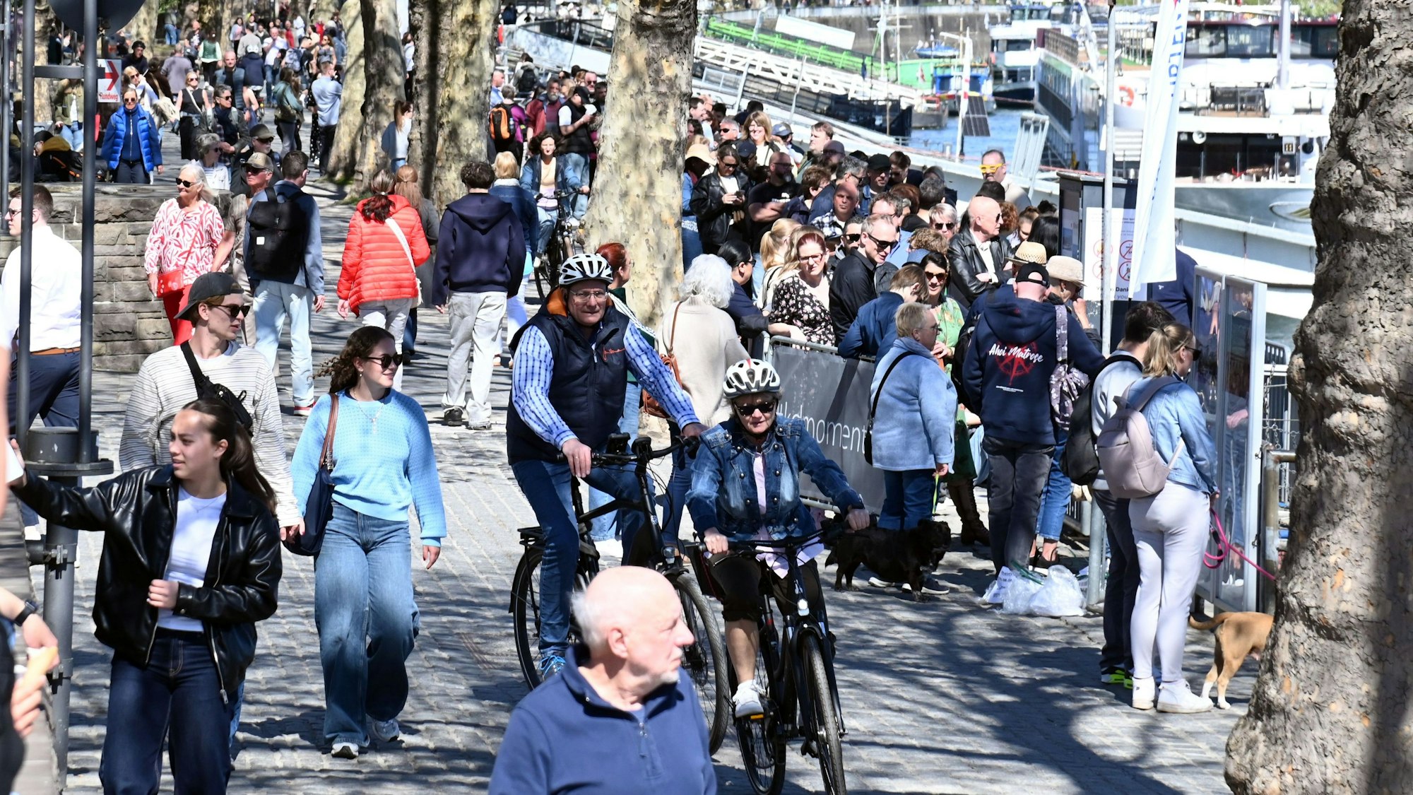 Am Rheinufer in der Kölner Altstadt kommt es an vielen Stellen zu Konflikten zwischen Fußgängern und Radfahrenden.
