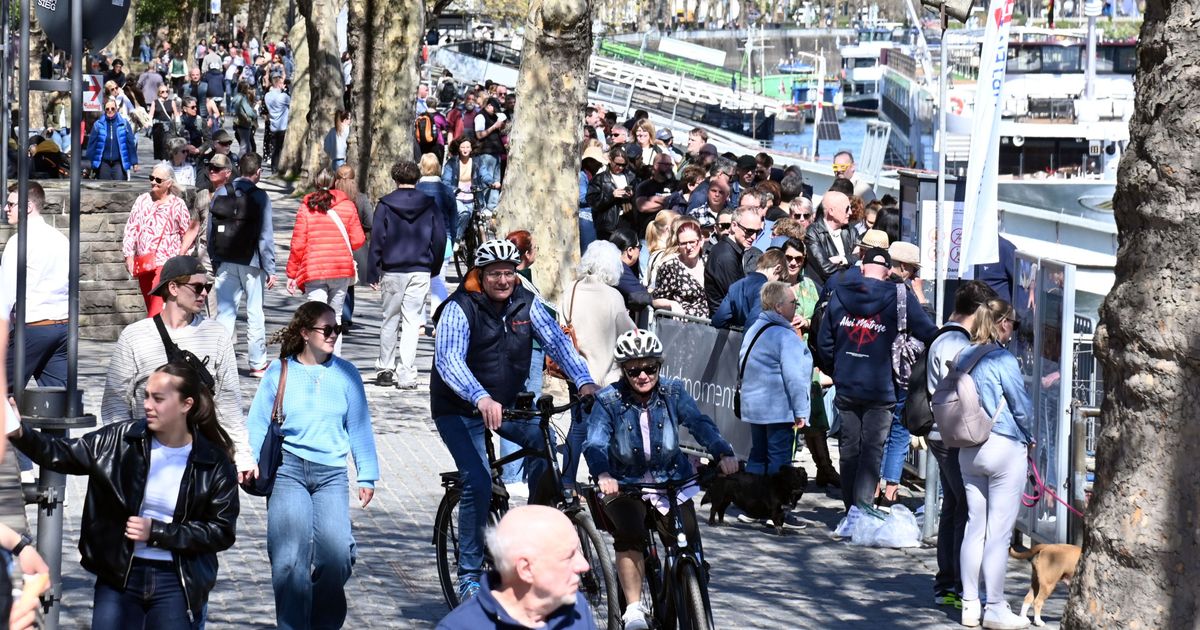 Rheinuferpromenade in Köln: Kollisionen zwischen Rad- und Fußverkehr ...