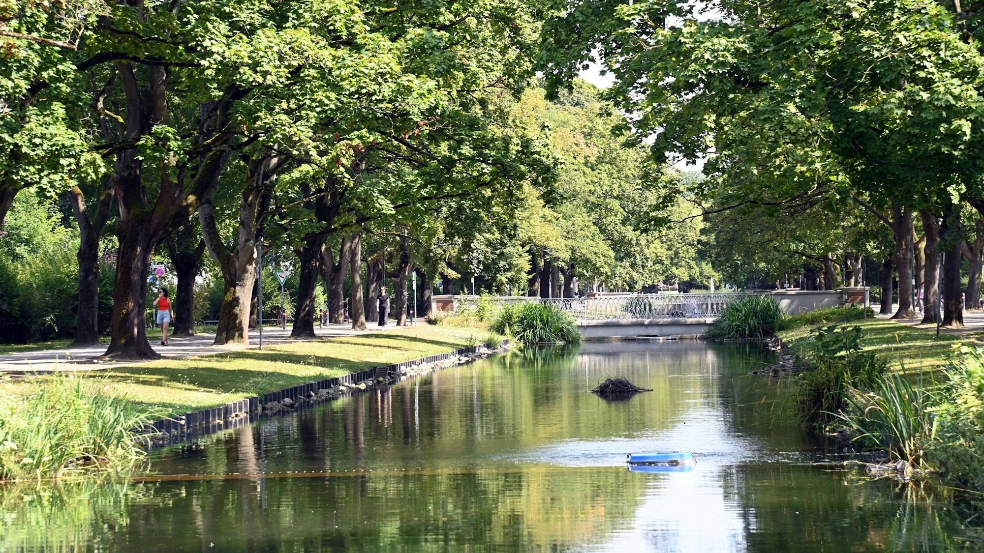 Der Rautenstrauchkanal im Sommer (Archivbild)