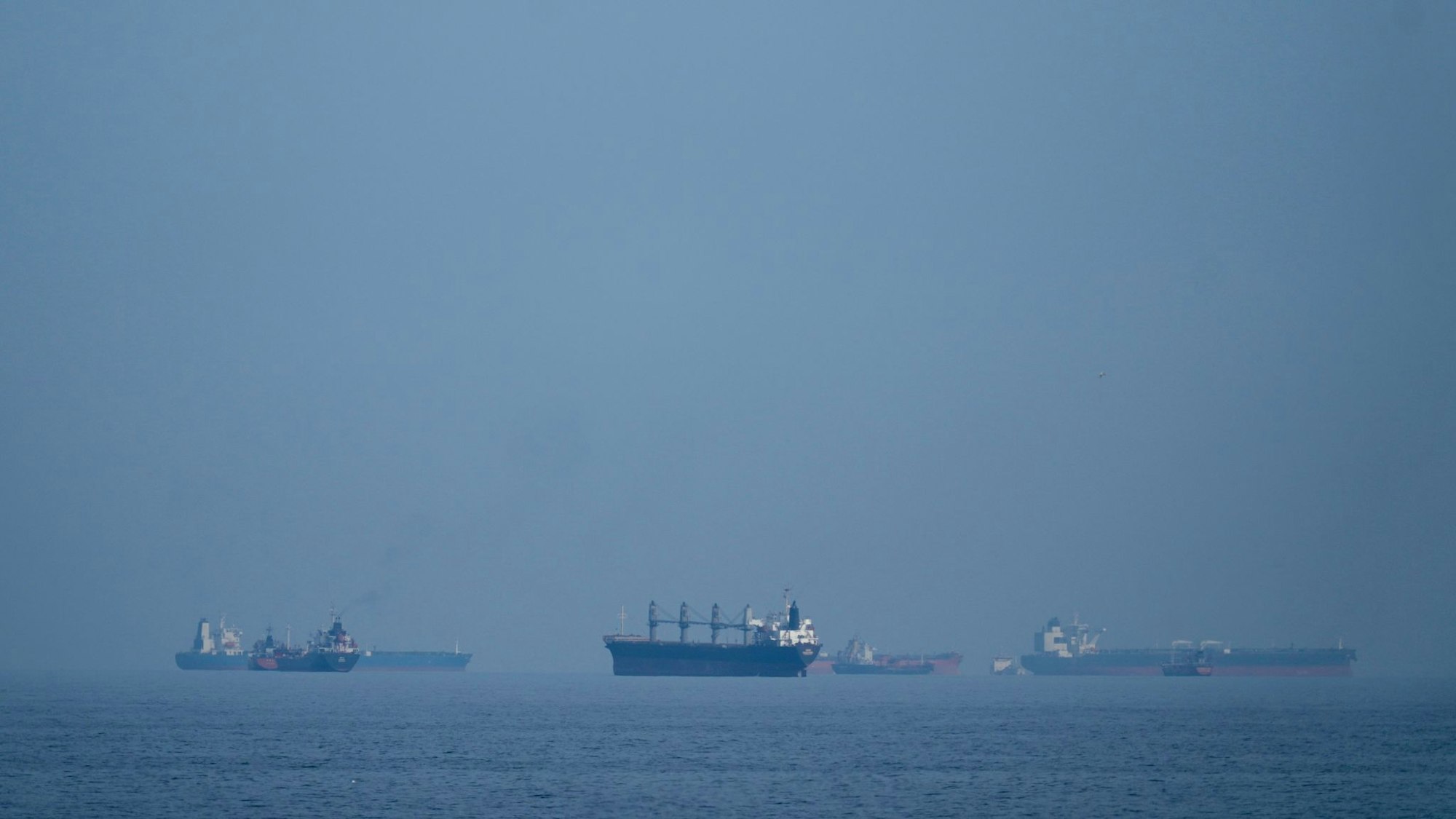 Bundesregierung erwartet gebührenfreie Hormus-Passage