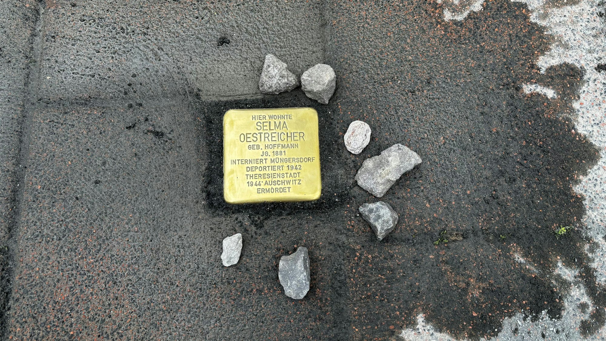 Der Stolperstein und kleine Steine, die im Halbkreis drumherum liegen.