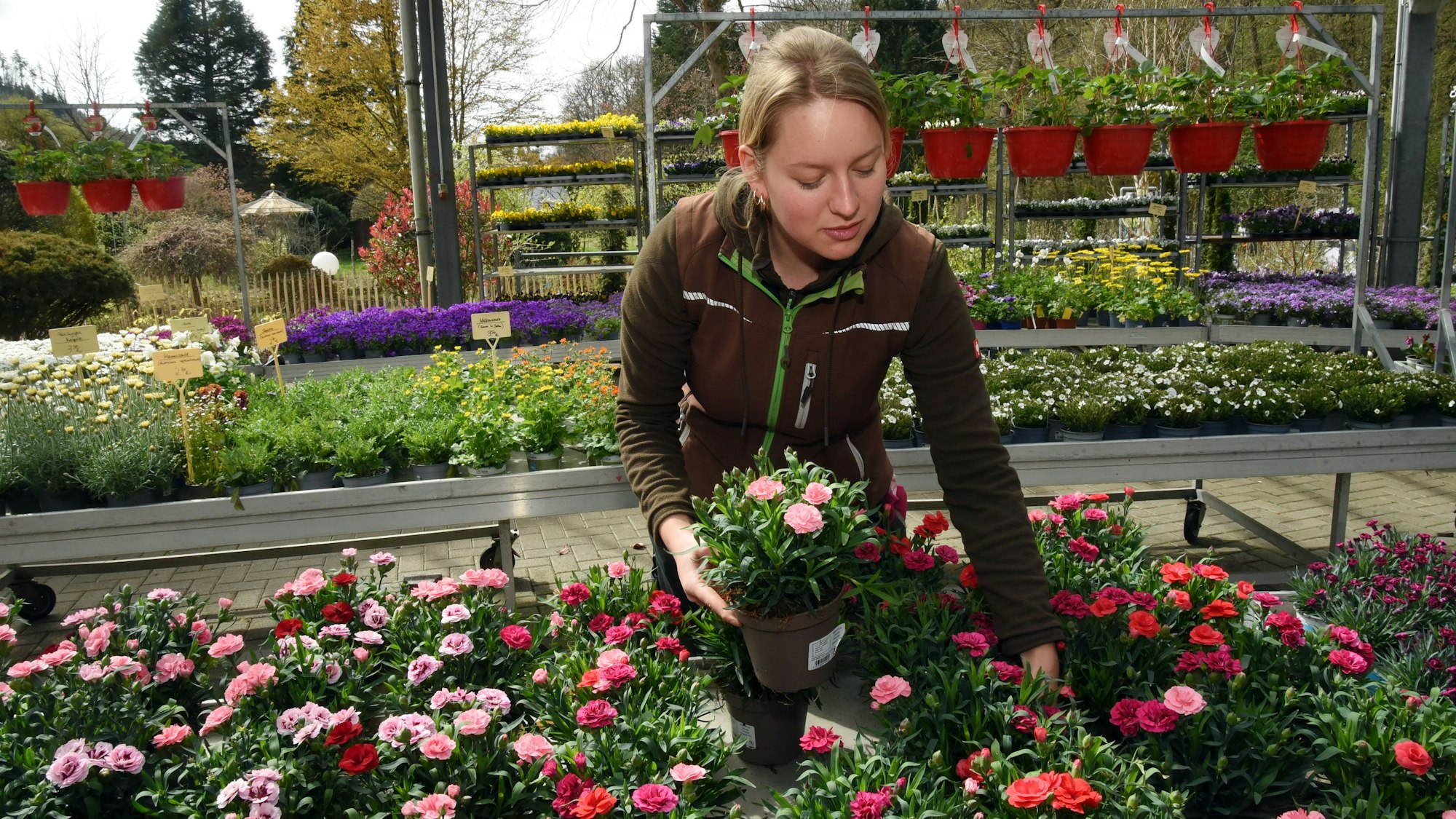 Eine Frau beim sortieren der Pflanzen.
