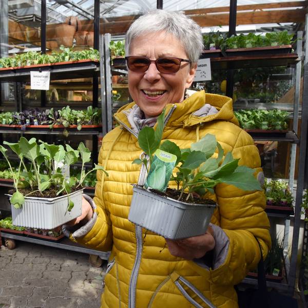 Eine Frau steht mit zwei Pflanzen in der Hand neben vollen Regalen mit Gemüsepflanzen.
