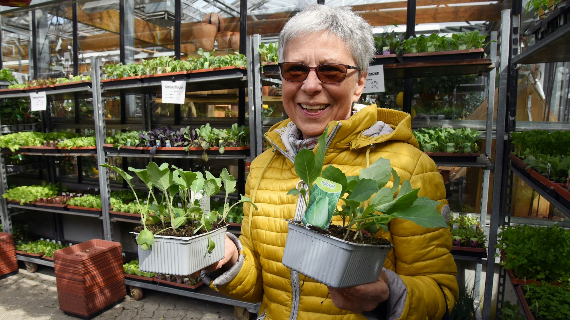 Eine Frau steht mit zwei Pflanzen in der Hand neben vollen Regalen mit Gemüsepflanzen.