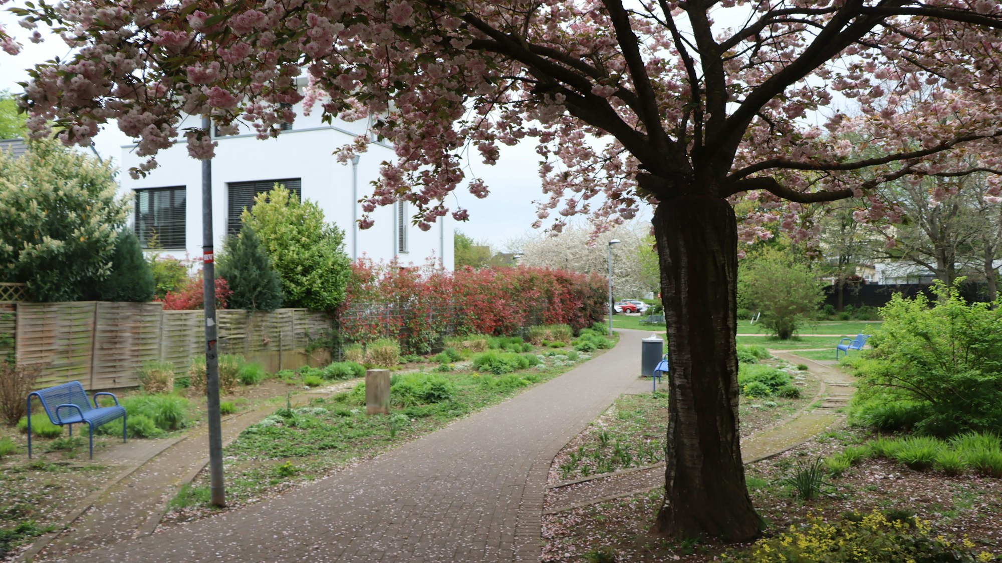 Das Bild zeigt den Stadtpark in Pulheim.