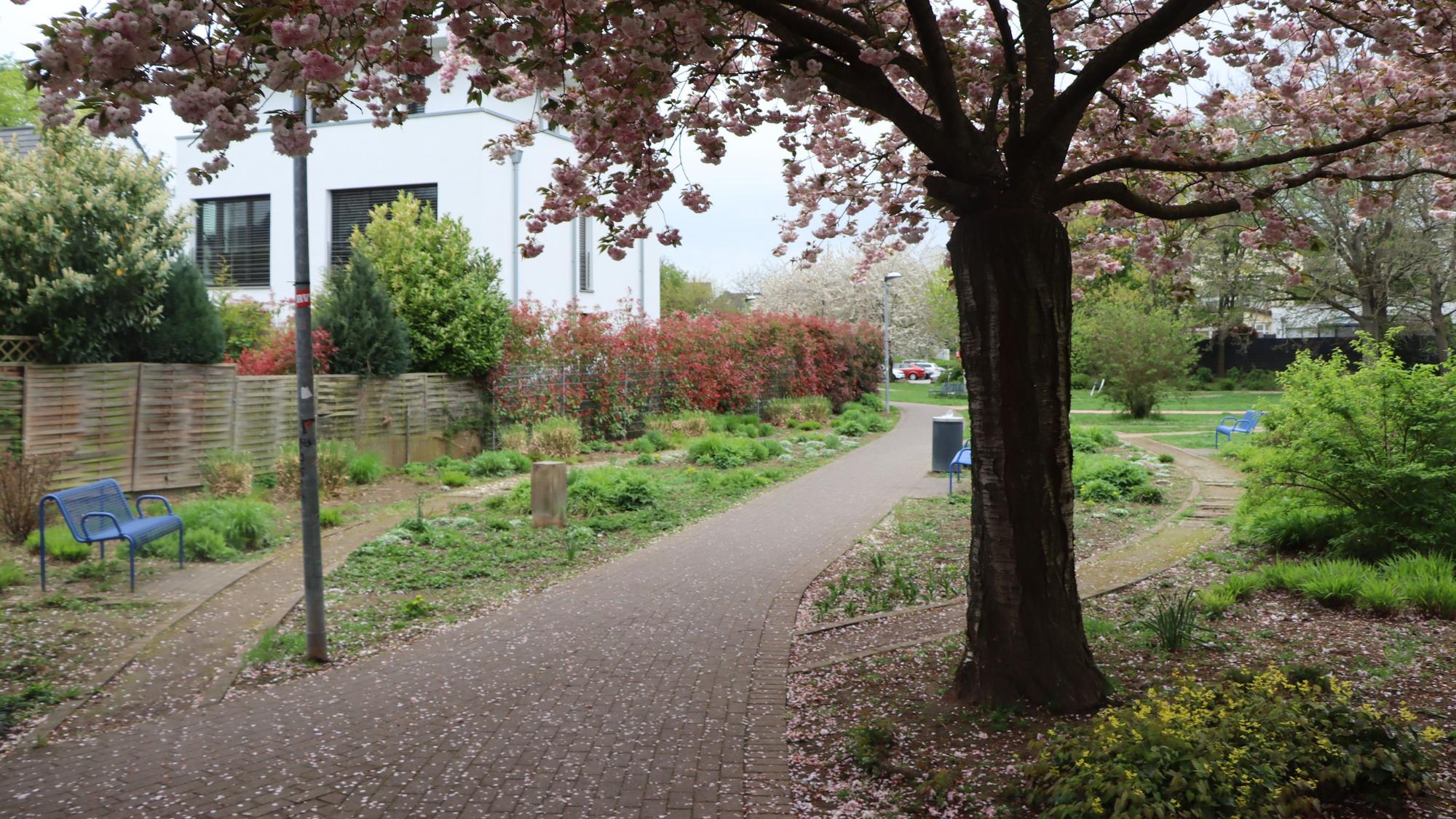 Der Stadtgarten ist tagsüber eine ruhige und friedliche Oase mitten in Pulheim. Er wurde Tatort eines Verbrechens.