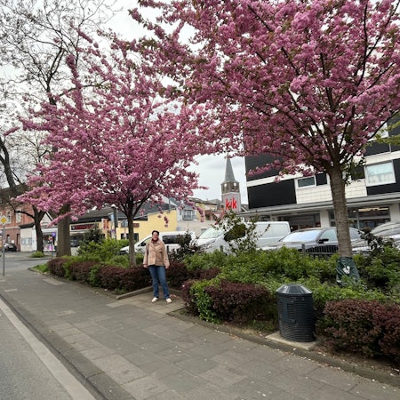 Eine Frau steht in einer gepflasterten Nische des vom Bürgerverein gepflegten Beetes an der Kaiserstraße in Urbach.